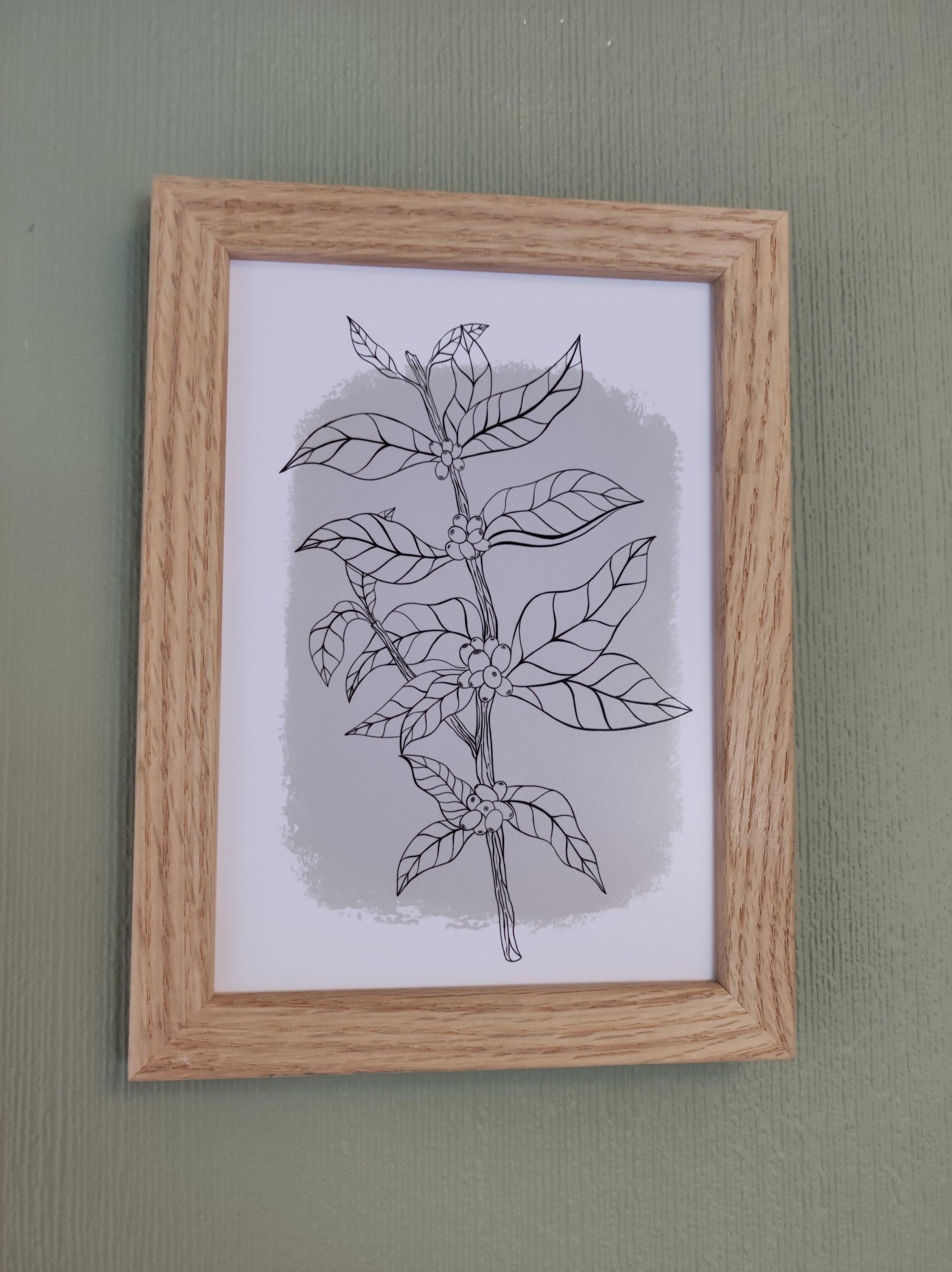 Botanical Coffee Plant Art Print Grey - Sølv Lines