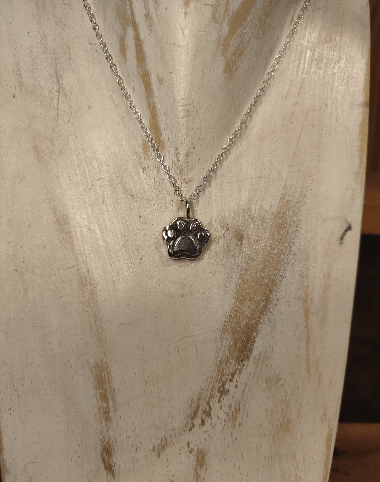 Memorial Silver Paw Ash Necklace - Sølv Lines